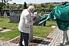 bild_39.jpg