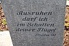 bild_74.jpg