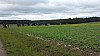 20191003_131945.jpg