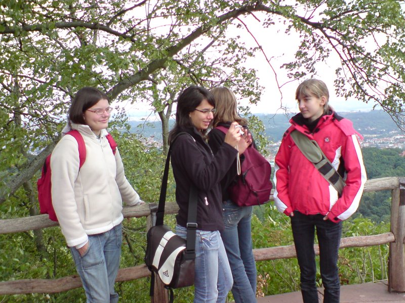 bild_154.jpg