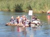 bild_078.jpg
