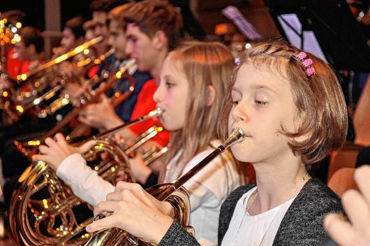 Mit dem Bl&auml;sernachwuchs und dem Jugendorchester startete der Hohenrother Musikverein sein Jahreskonzert in der Mehrzweckhalle.<br>Foto: Andreas Seitz