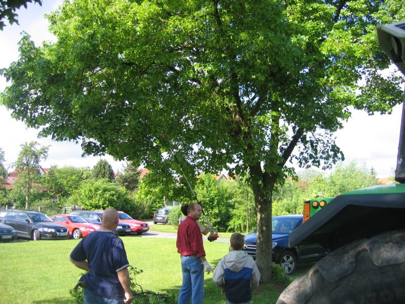 aufbau_031.jpg