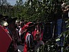 festzug_21.jpg festzug_21.jpg